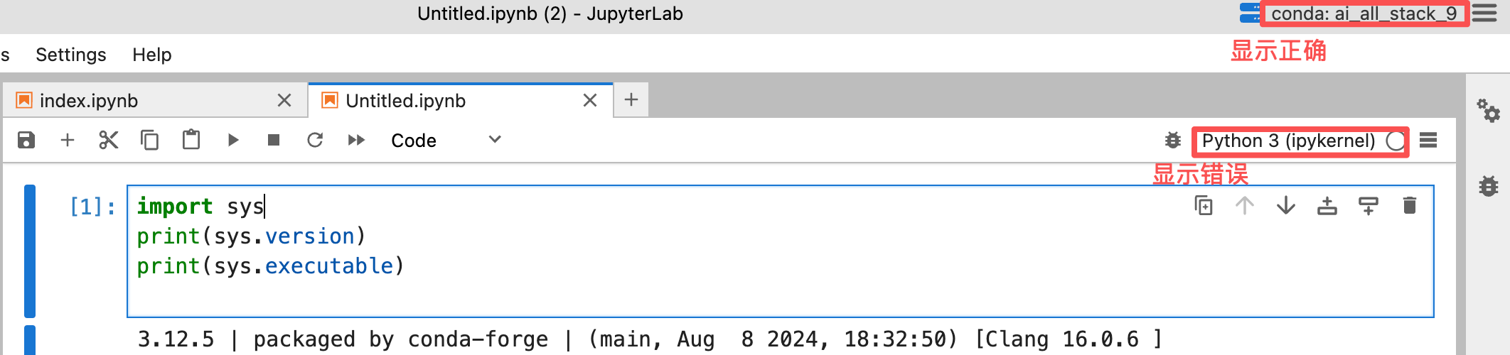 jupyterlab-desktop 新创建的lanucher